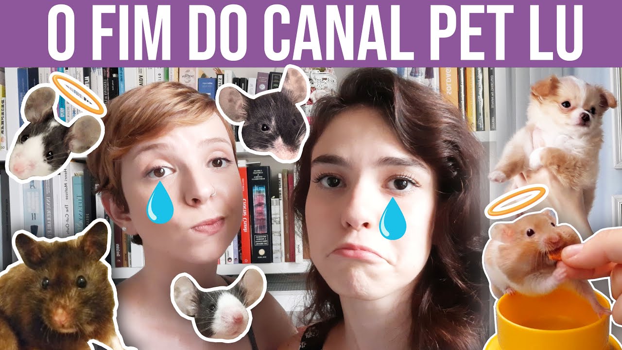 O Canal Pet Lu vai ACABAR?