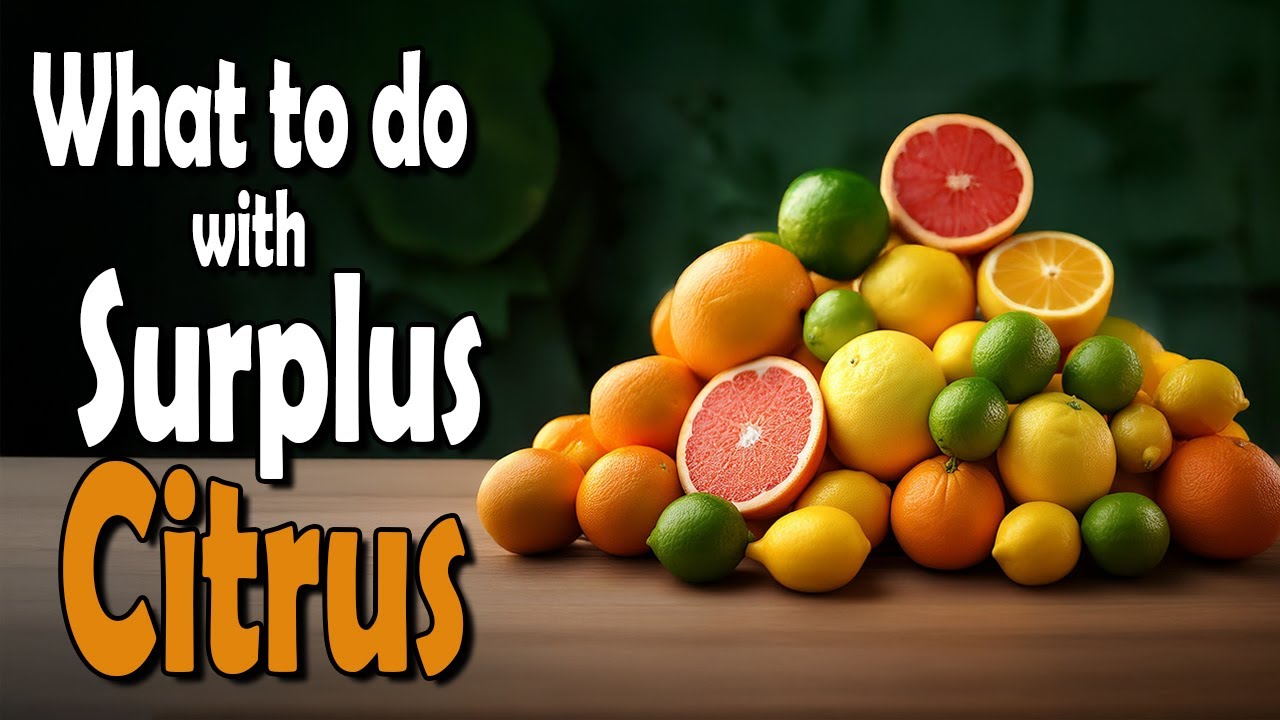 Surplus Citrus?  What to do with your extra fruit.