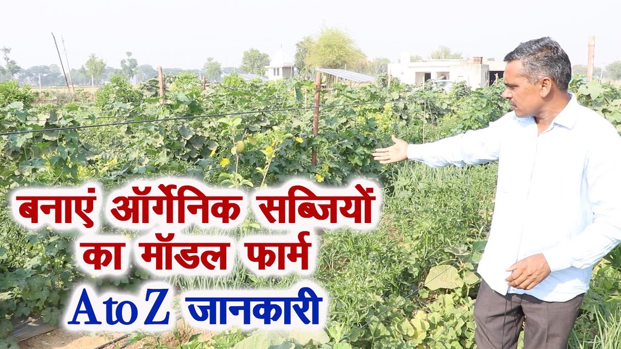 आर्गेनिक सब्जियों का मॉडल फार्म शुरू करने की A to Z जानकारी, How to start Organic Vegetables Farming