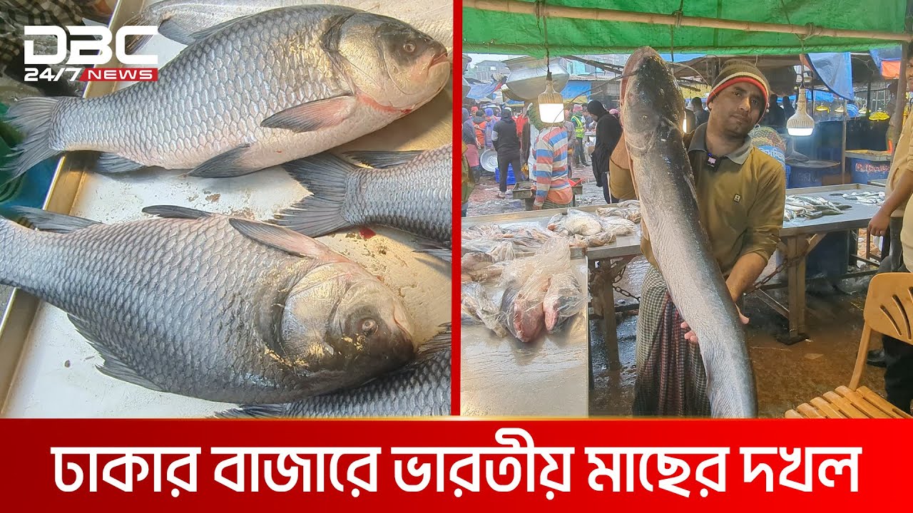 ভারতীয় বোয়াল-কাতলে সয়লাব ঢাকার মাছ বাজার | DBC NEWS Special