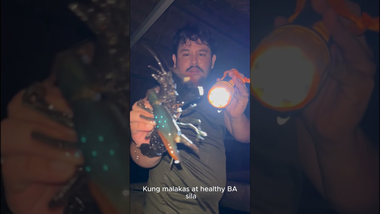 Journey:3 R&B Crayfish Farm: The Crayfish Journey 🦞🔥#crayfishfarmingphilippines  #crayfishbreeder