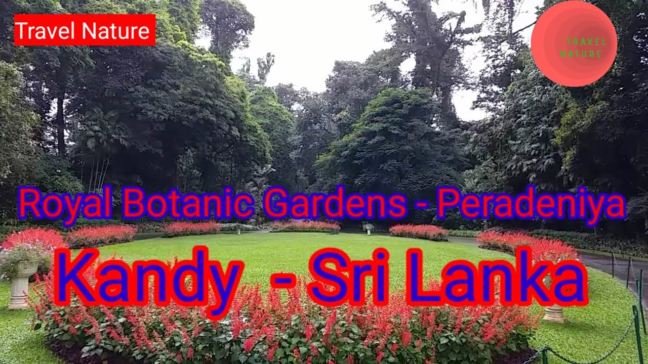 Royal Botanic Gardens  - Peradeniya l Kandy  - Sri Lanka l