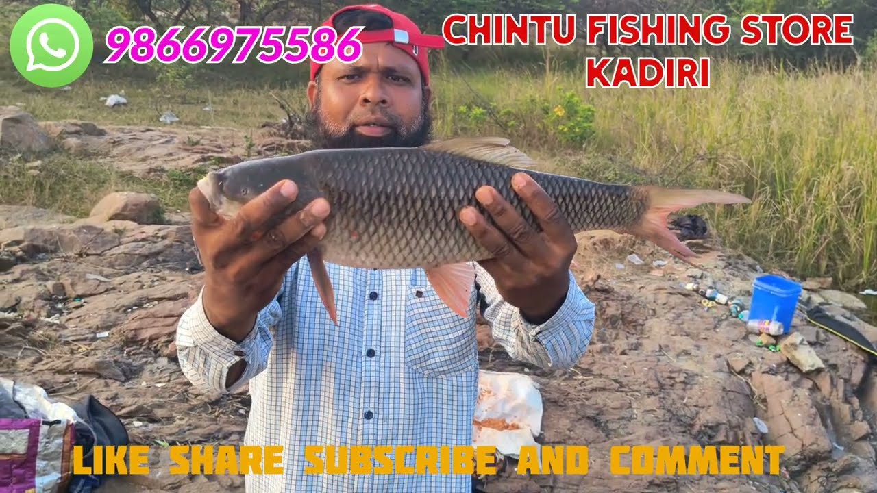 PEDDERU PROJECT DAM ROHU FISHING CHINTU FISHING STORE, KADIRI CELL 9866975586