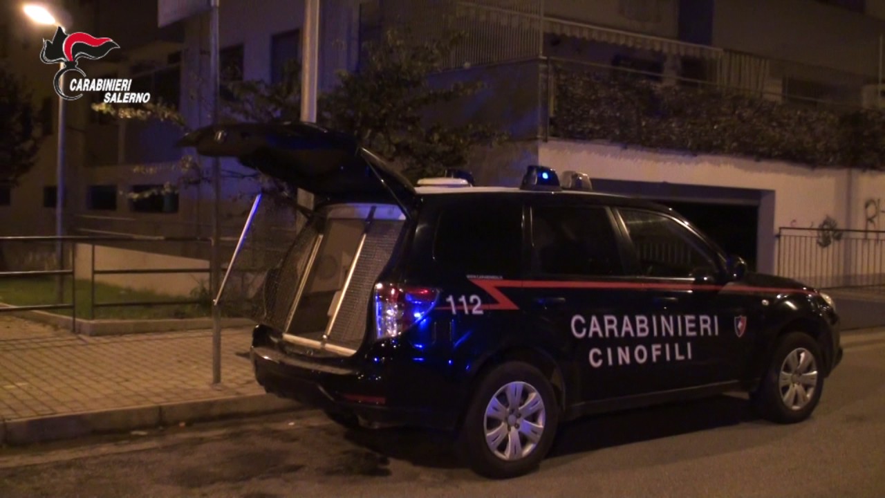 Salerno: operazione antidroga con 29 arresti, il video del blitz dei Carabinieri