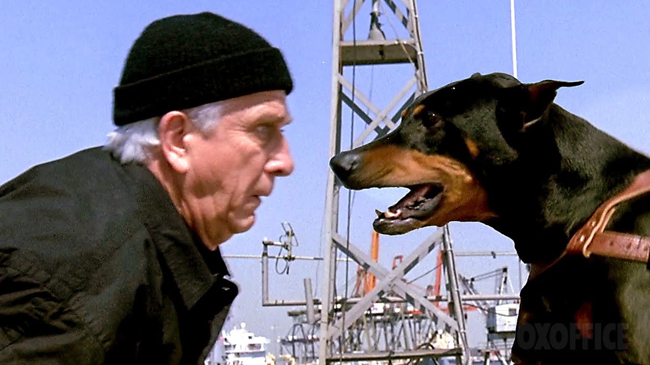 Cerca di infiltrarsi nel quartier generale nemico (la gag del cane è un CLASSICO)