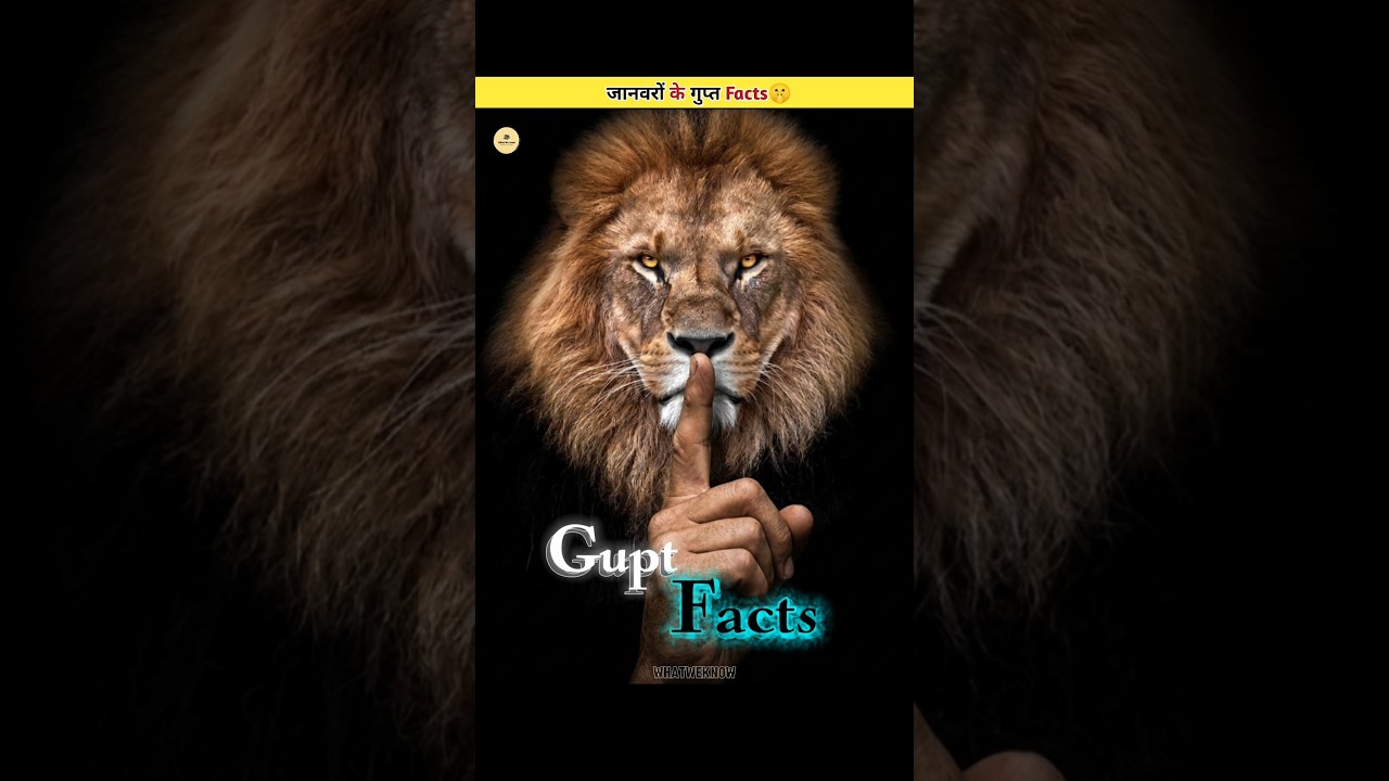 Hidden Animal Facts That Will Change How You See Nature 🤫