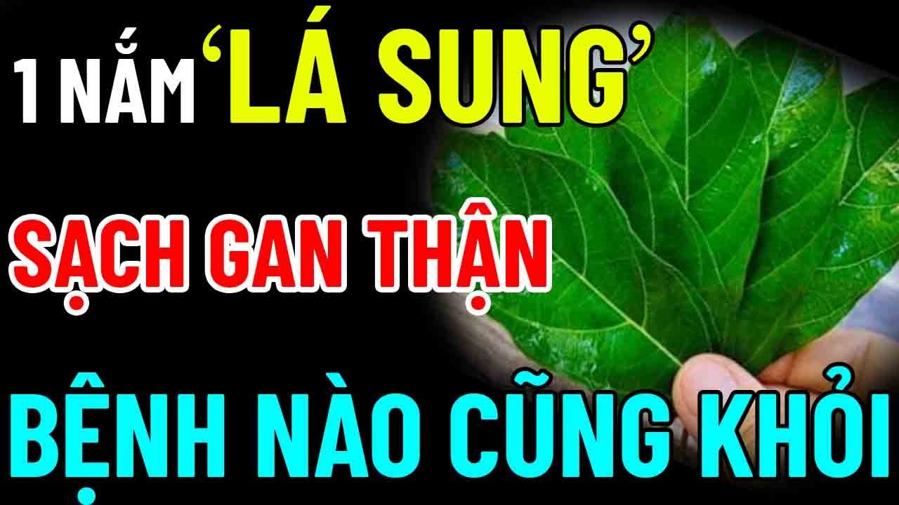 TUỔI GI&Agrave; 
