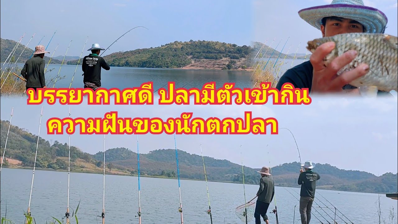 Ep.148 ครั้งแรกกับอ่างนี้ สนุกสุดมัน ตะเพียนใหญ่ๆ ตกปลาหน้าดินหมายธรรมชาติ อ่างเก็บน้ำ ห้วยลิ้นควาย 