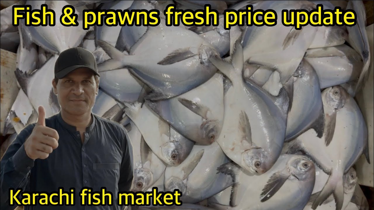 Fish & prawns fresh price update Karachi fish harbour September 10, 2025