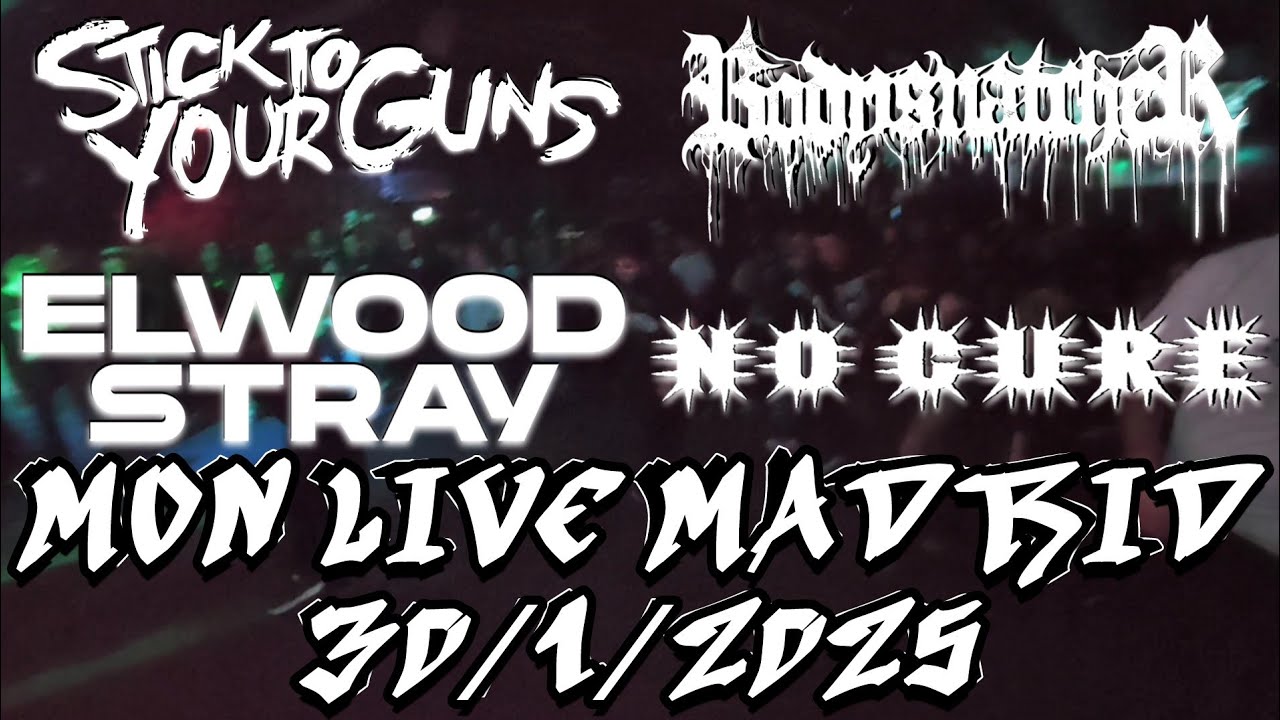 Stick To Your Guns - Bodysnatcher - Elwood Stray - No Cure [Mon Live Madrid 30/1/2025][Mosh Pit Cam]