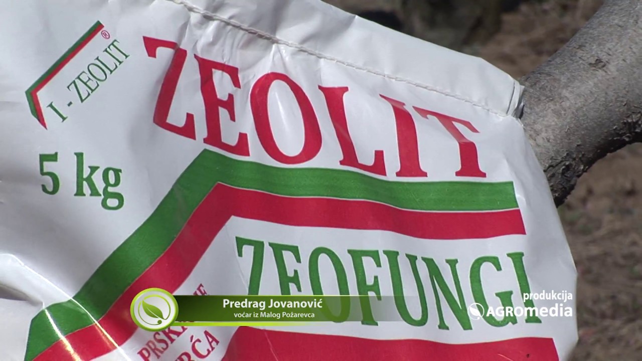 Rešite se zauvek kruškine buve u voćnjacima uz pomoć zeolita