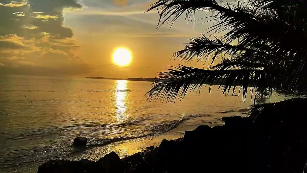 Drift Into Sleep at Dusk 🌙 Calming Ocean Waves, Evening Birds & Gentle Frogs