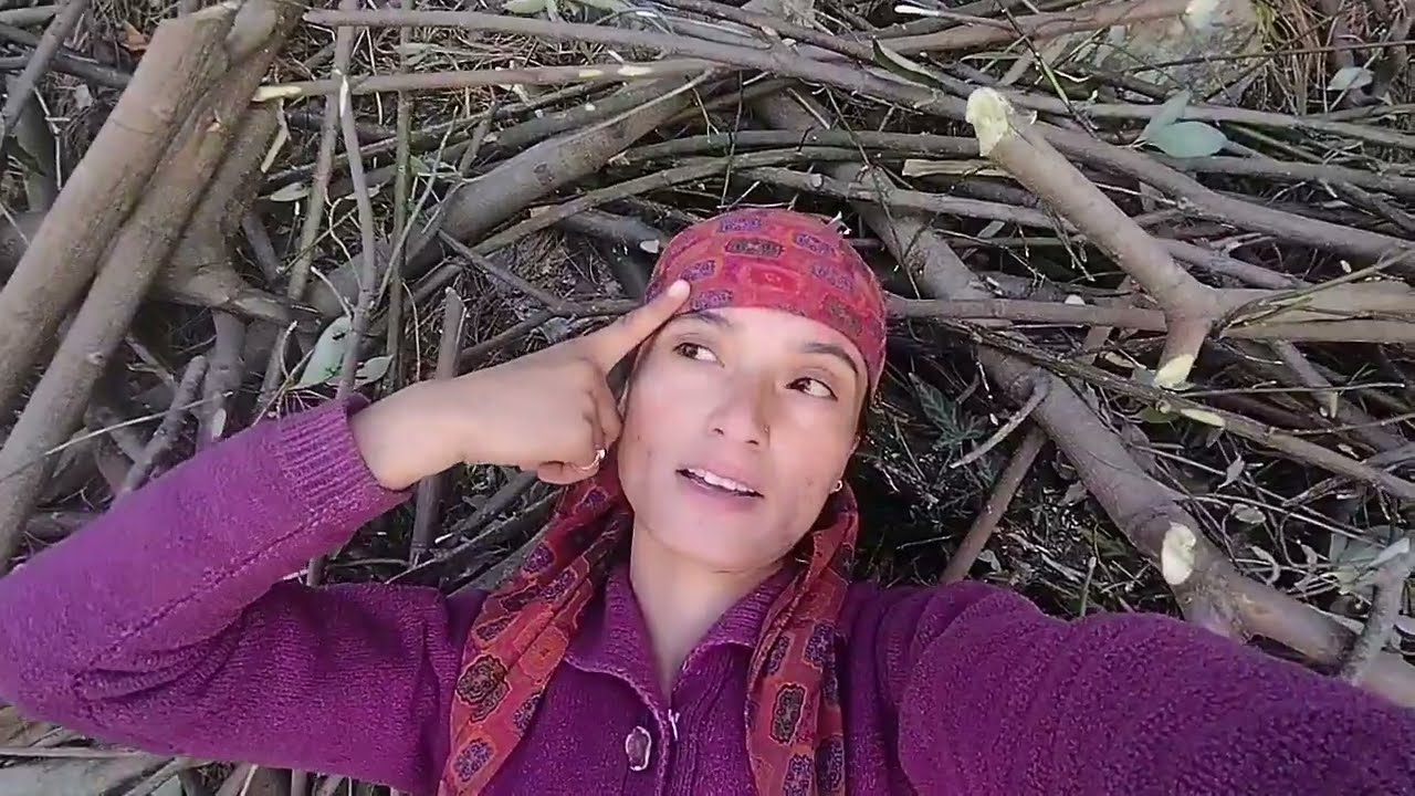 //DAY 1 /Village life of himachal pradesh//A Day with me pahadan @pahada9