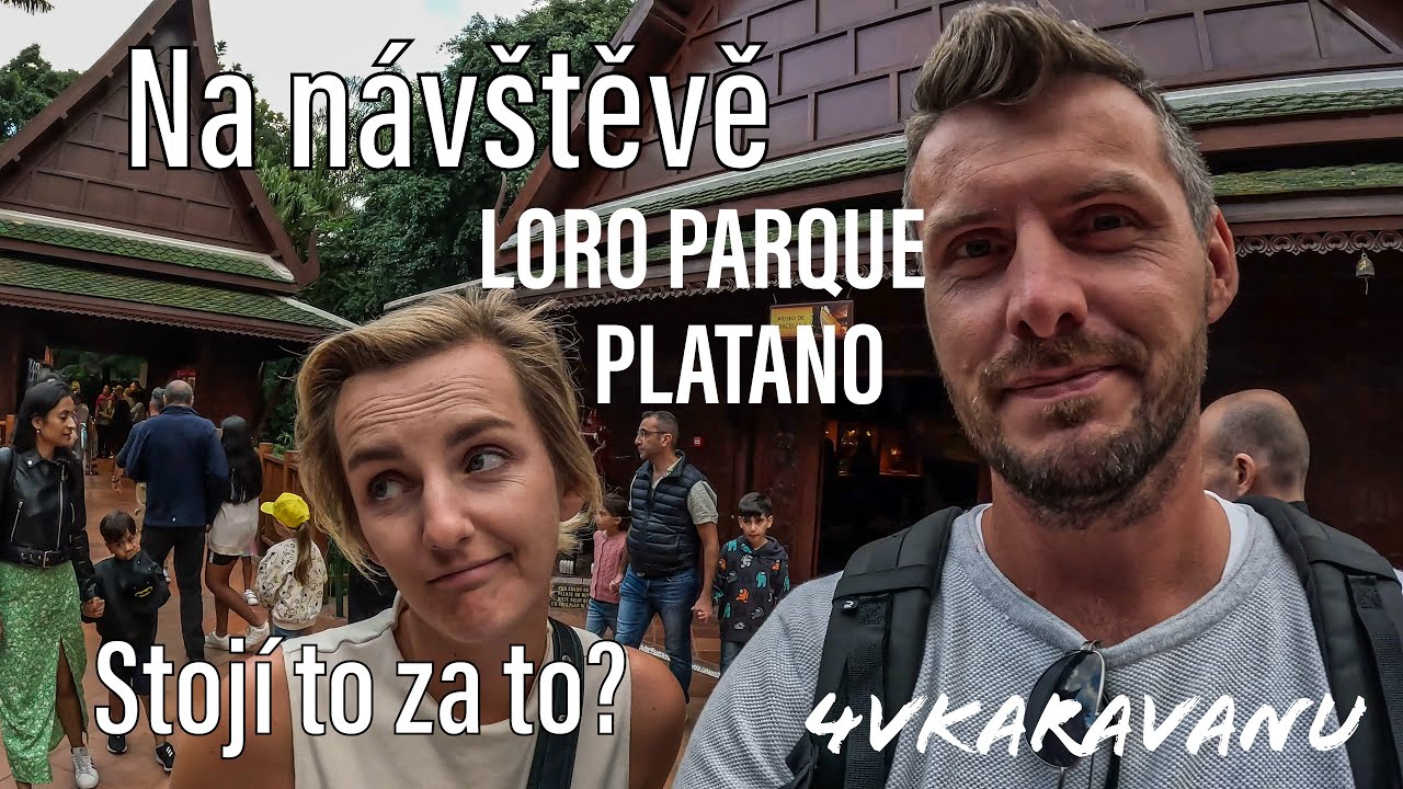 Na návštěvě - banánová plantáž s ochutnávkou likérů a LORO PARQUE Tenerife - stojí to za to?