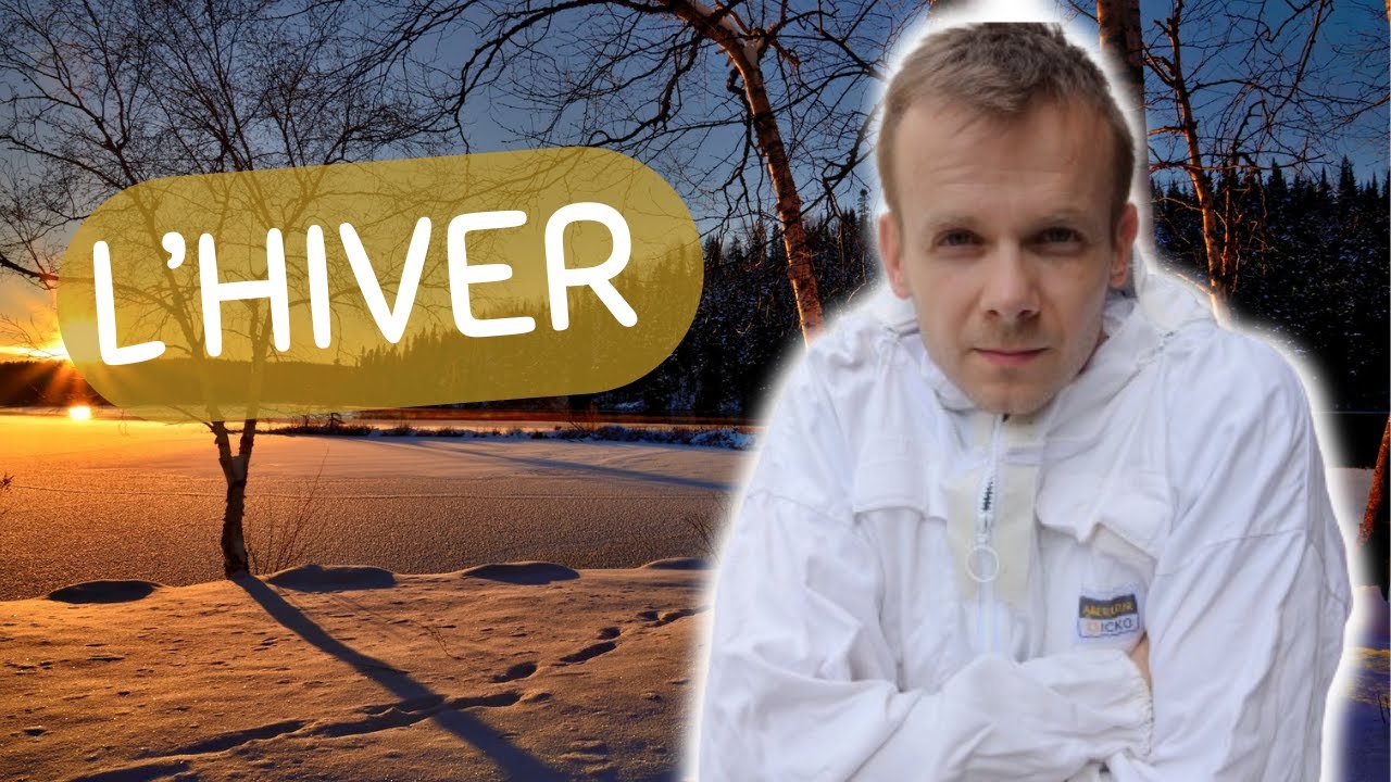 Comment les abeilles survivent à l’hiver ?
