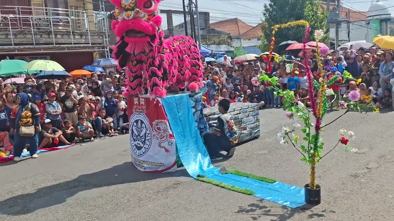 HAMPIR JATUH! Momen Paling Menegangkan di Atraksi Barongsai (IMLEK 2026/KOTACILACAP) #barongsai