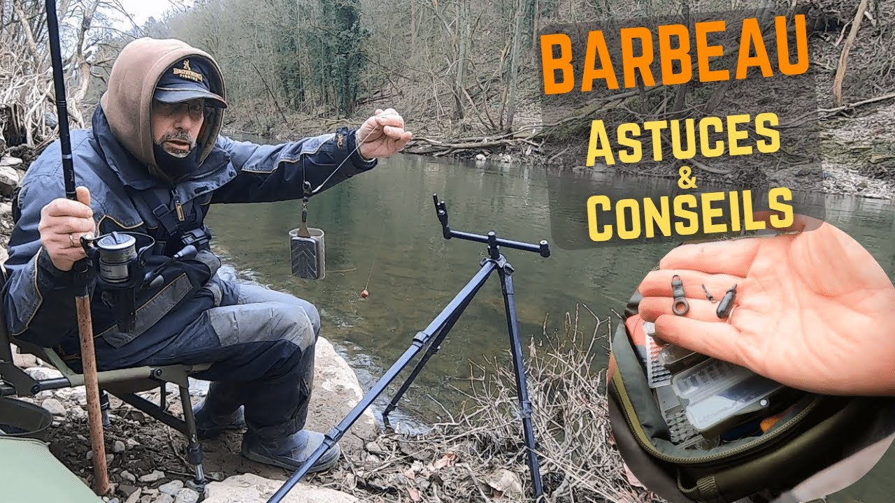 Comment attirer le BARBEAU sur votre coup ? Trucs & Astuces !