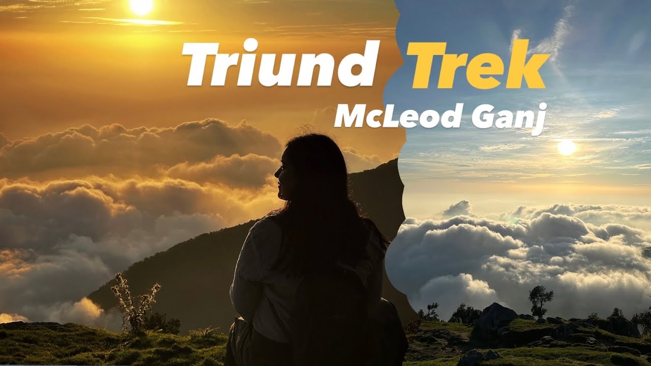 Easiest Trek for Beginners | Triund Trek