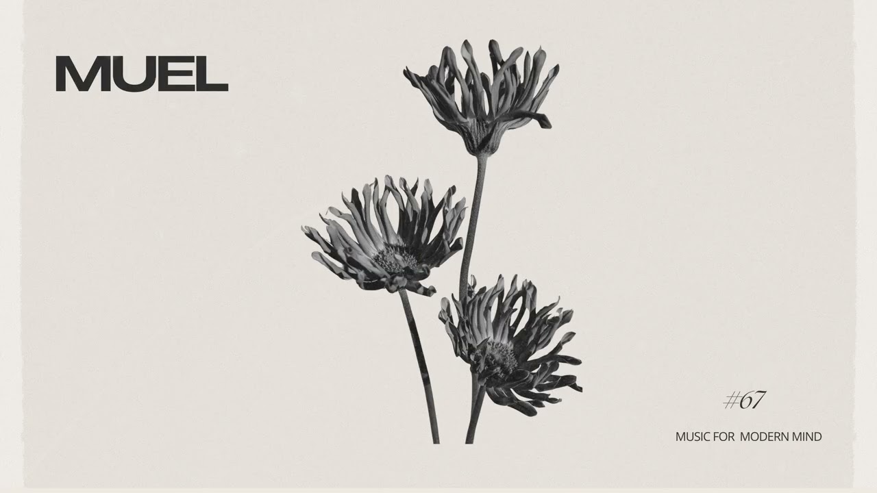 MUEL #67: Winter Nights Mix (Extended Edition) | Chill Electronica for Late Evenings