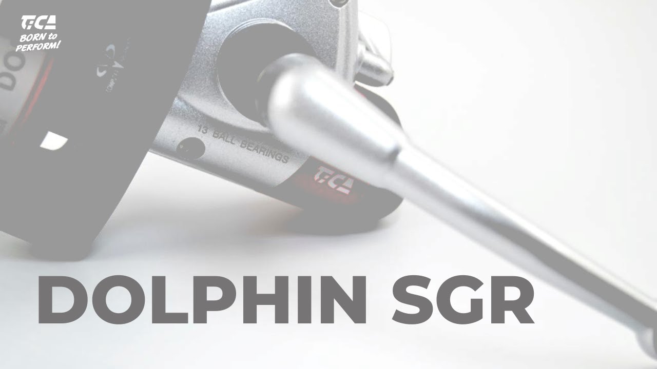DOLPHIN