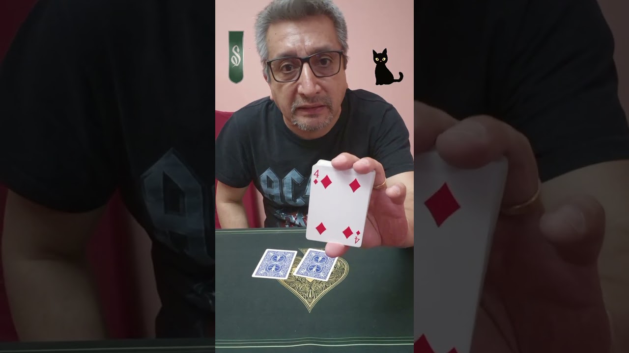 #magia #gatos #mascotas no se puede cruzar mi lucho jajajajajaj 🤣 