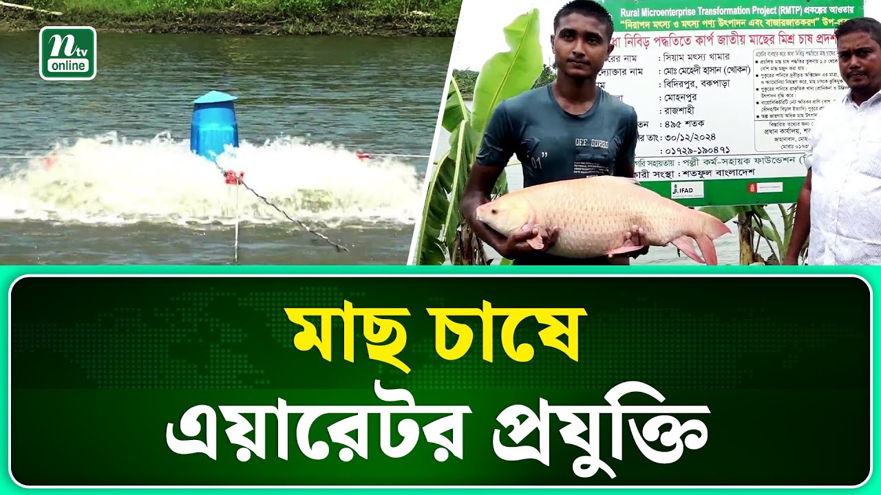 মাছ চাষে রাজশাহীতে সম্ভাবনার দিগন্ত খুলে দিয়েছে এয়ারেটর প্রযুক্তি | Rajshahi | NTV NEWS