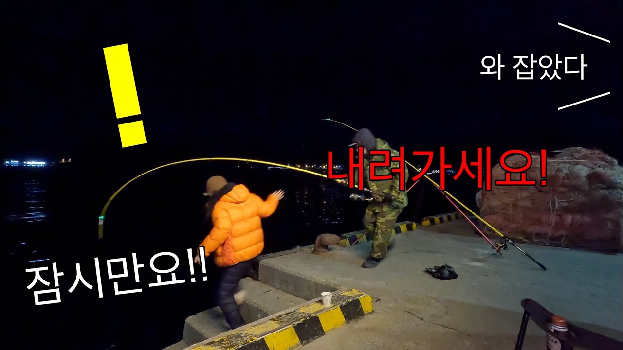 바다가 이상하다? 방파제에서 희한한 녀석이 잡히네요.. 물고기 없다고 소문난 곳에서 3일 내내 낚시만 했는데..