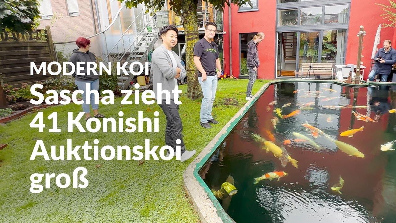 Mit Makoto und Yvo bei Sascha und Olga | Modern Koi Blog #7617