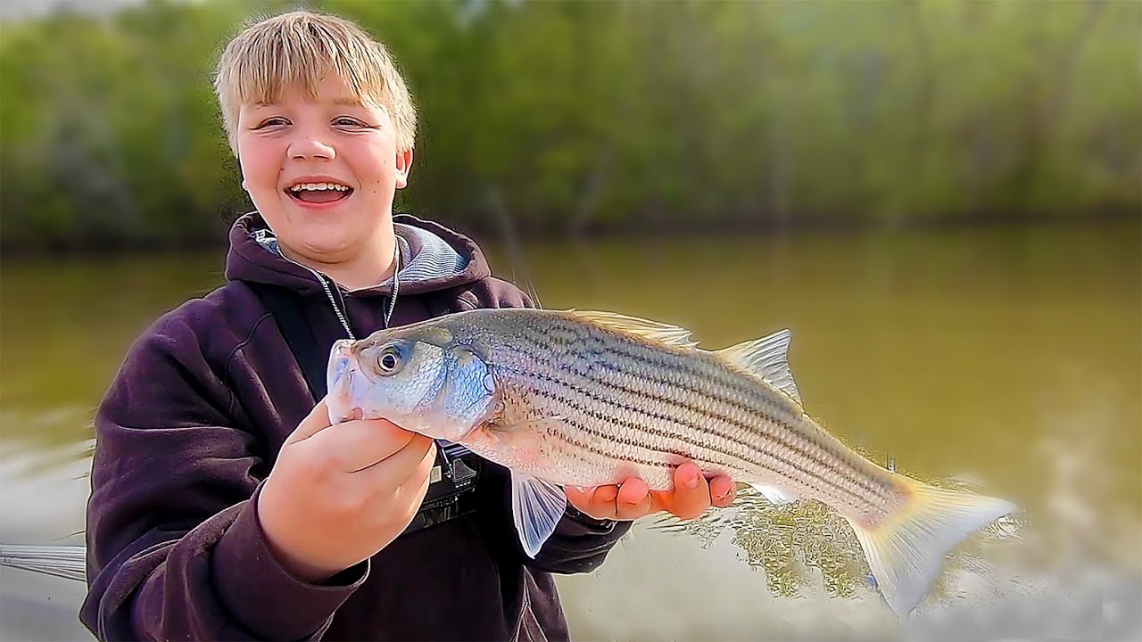 Catfish and Striper Fishing on Lake Wateree