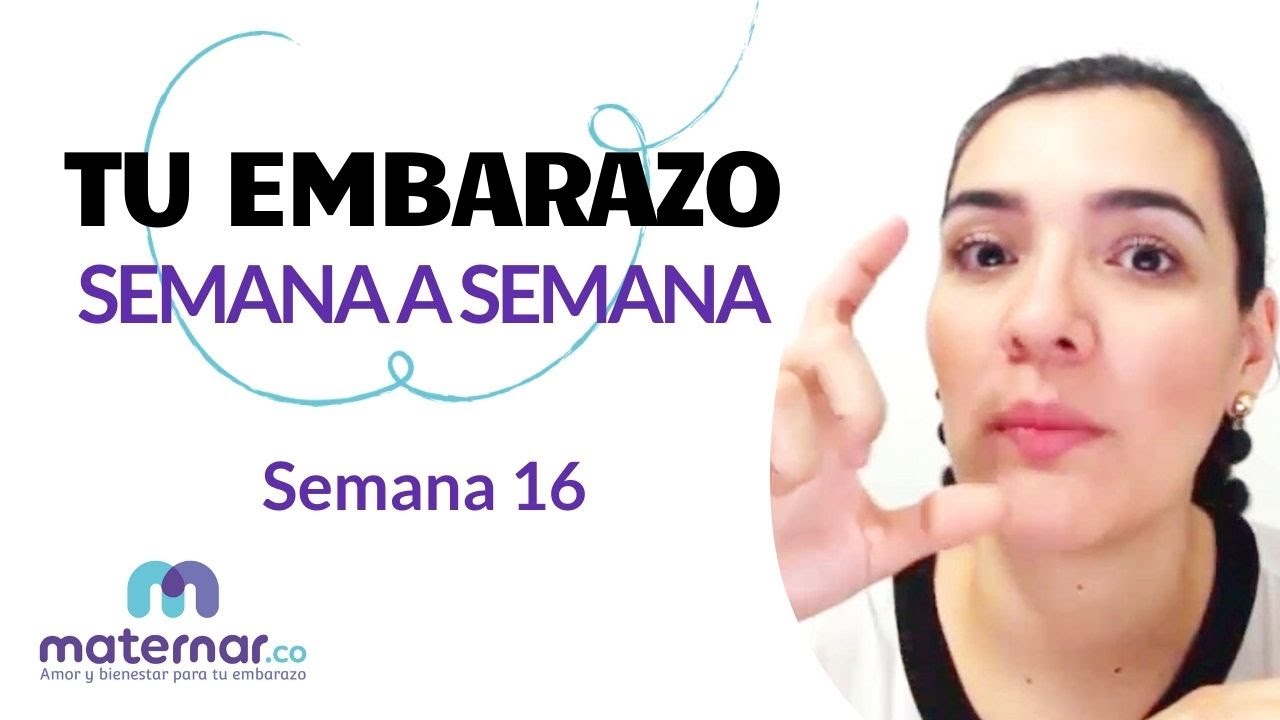 Semana 16 | Tu embarazo semana a semana | Maternar.co