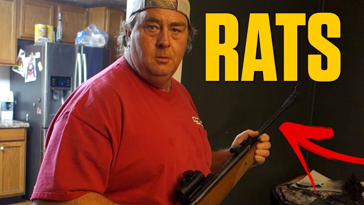 GRANDPA'S HOUSE HAS RATS!