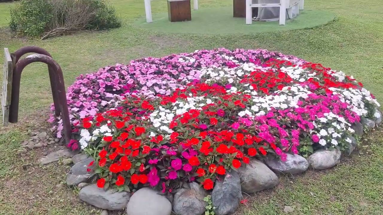 花蓮市 花蓮曼波園區