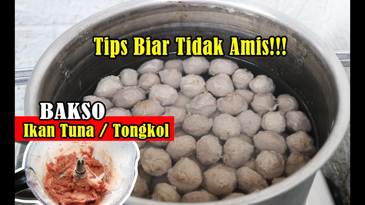 Pentol Ikan kenyal tidak amis‼️ Cara membuat bakso ikan tuna, tongkol, tenggiri agar tidak bau anyir