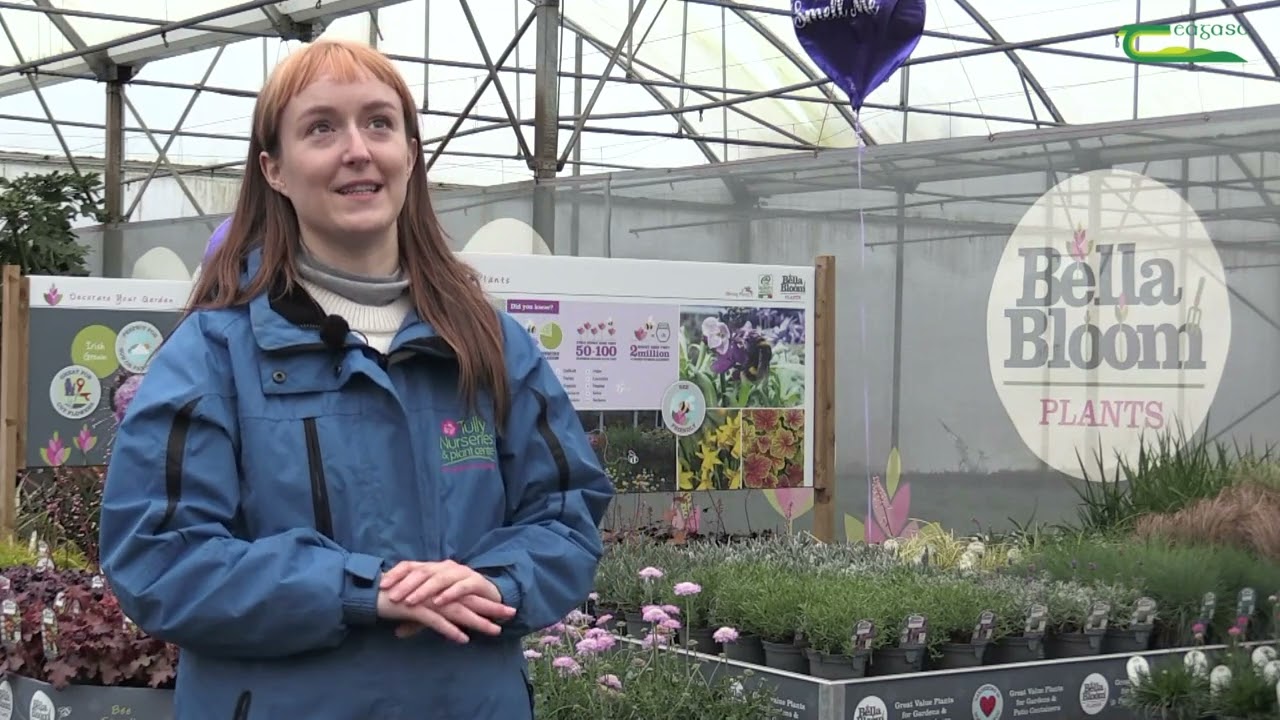 Study Horticulture with Teagasc