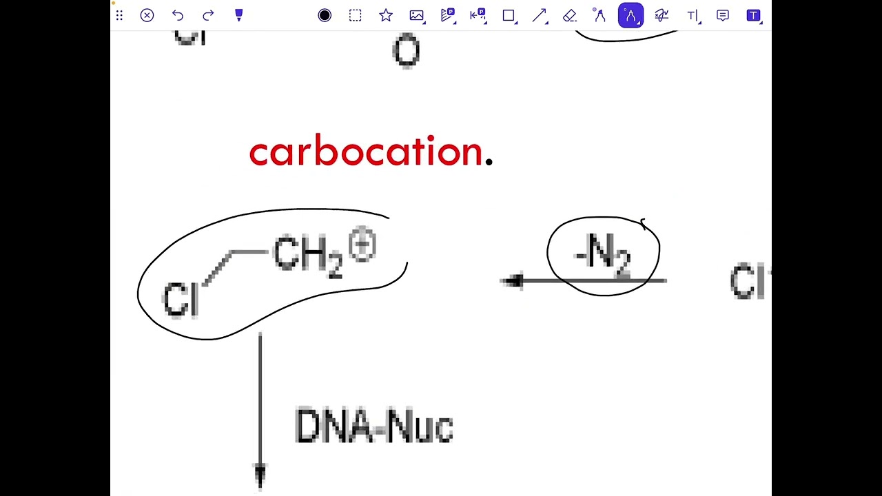 Pharmaceutical chemistry(Nitrosoureas) عضوية وزاري مرحلة رابعة 