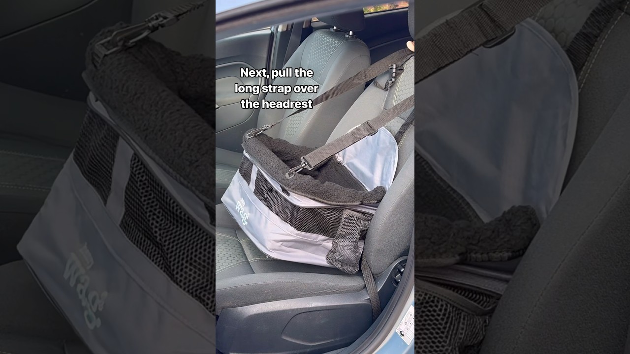 Installing Your Henry Wag Pet Booster Seat