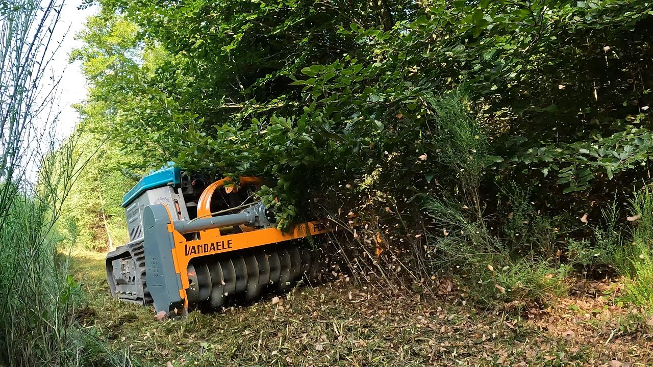 Vandaele Forestmaster