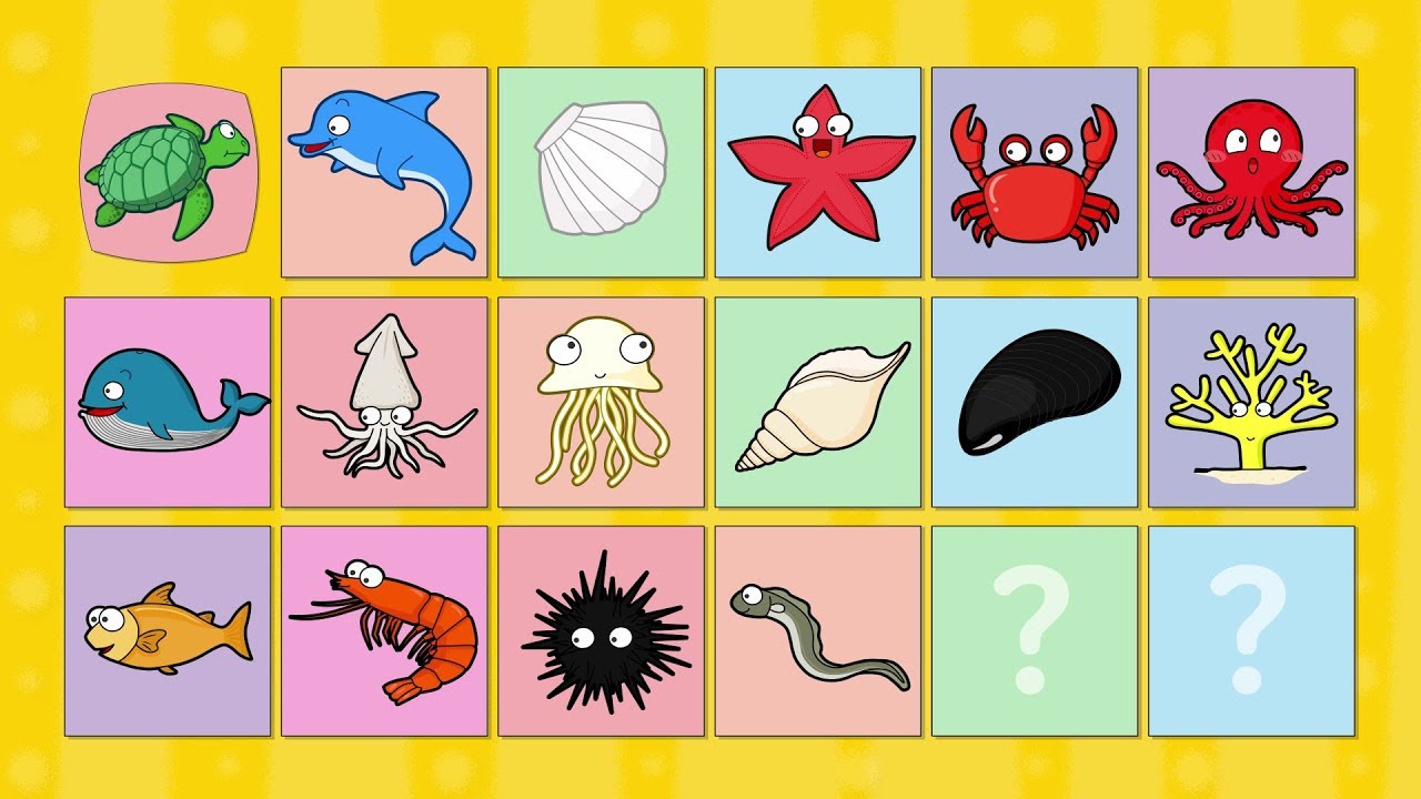 그림자 맞추기[바다생물단어] - 바다생물, 바다동물 ★ Learn Korean - Sea animals & Sea creature ★ 바다생물, 바다동물 낱말카드