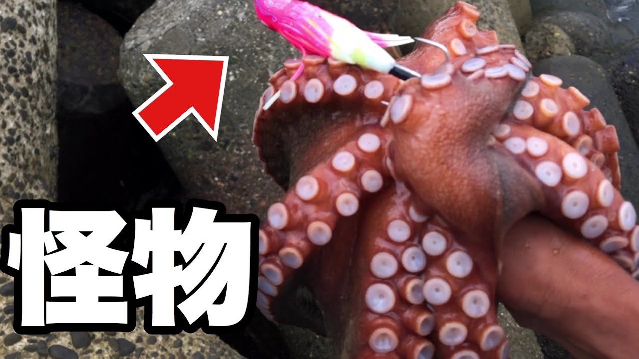 【タコ釣り】こいつ（タコ◯ドーム）の威力がヤバ過ぎた　モンスターダコ降臨