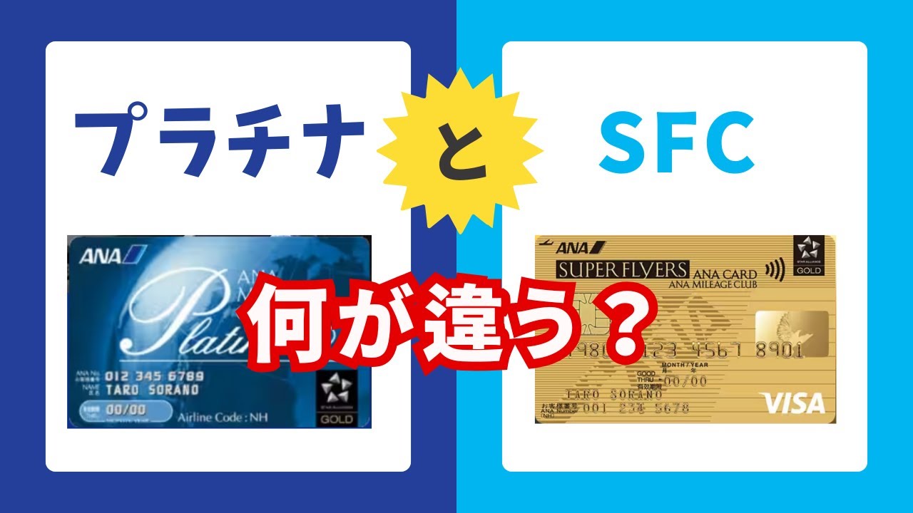 【SFC修行 ANA】プラチナメンバーとSFCって何が違うの？全然違うプラチナとSFC！