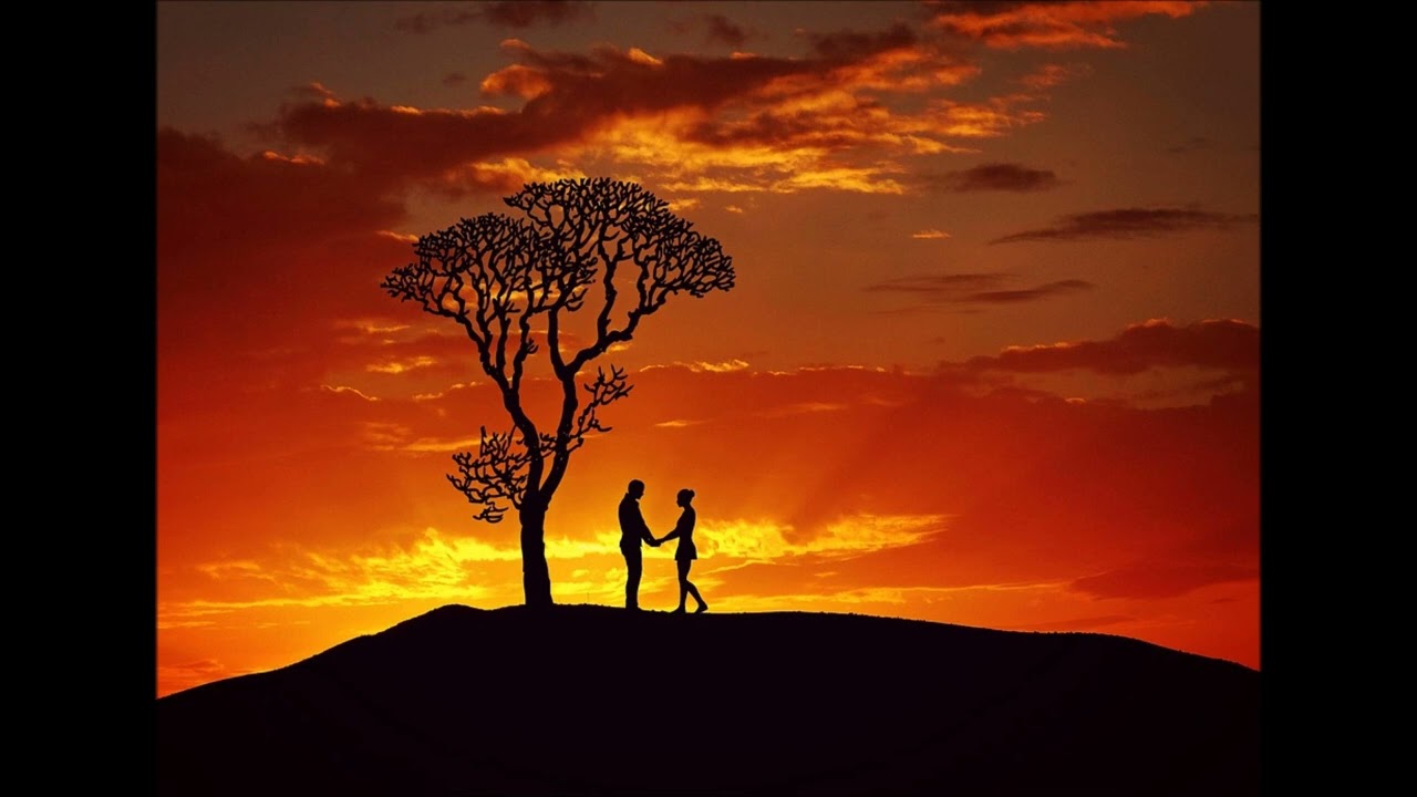 Singer/Songwriter Richard O'Brien '' are you ok ? ''