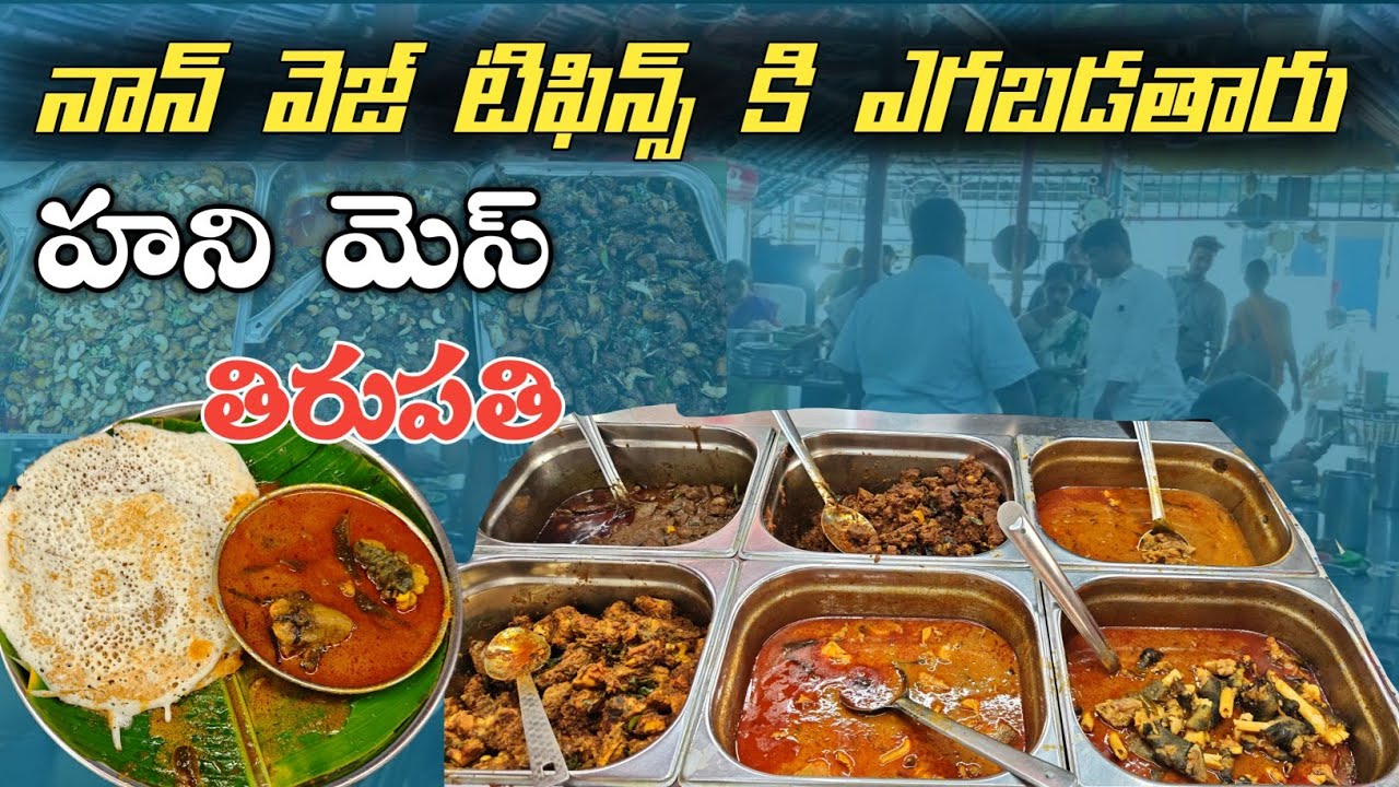 Famous Nonveg Tiffins 🤩 Honey Mess Tirupati 💥 ఇక్కడ 15 రకాలు పైనే ఉంటాయి నాన్ వెజ్ లో Super Taste 👌