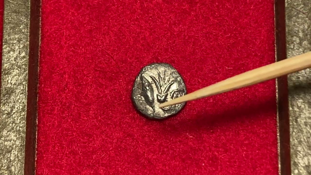 Hemióbolo de Cíziko. Tipo atún y flor. 550-500 a.C.