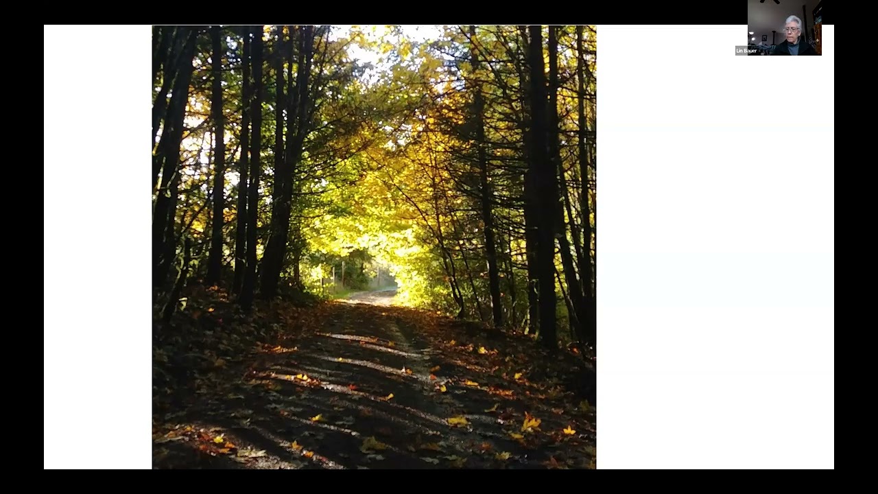 Global Healing Meditation 3-13-26 Lin Bauer