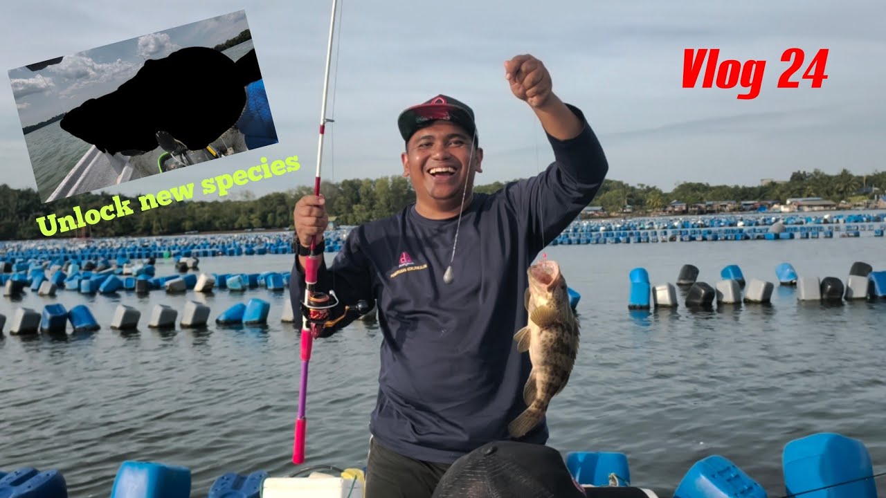 TELUK KABONG MASIH PADU orang baru nak merasa main disini | VLOG 24 
