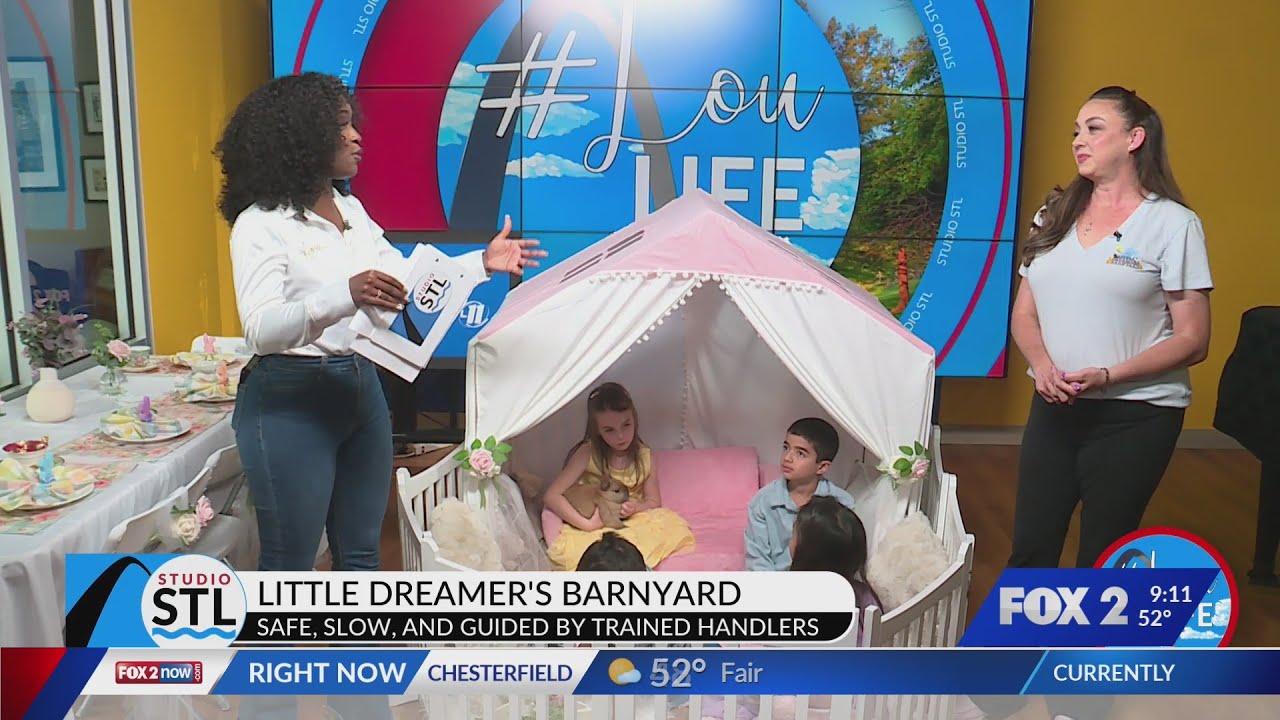 Создайте настоящие воспоминания вместе с Little Dreamers Barnyard.