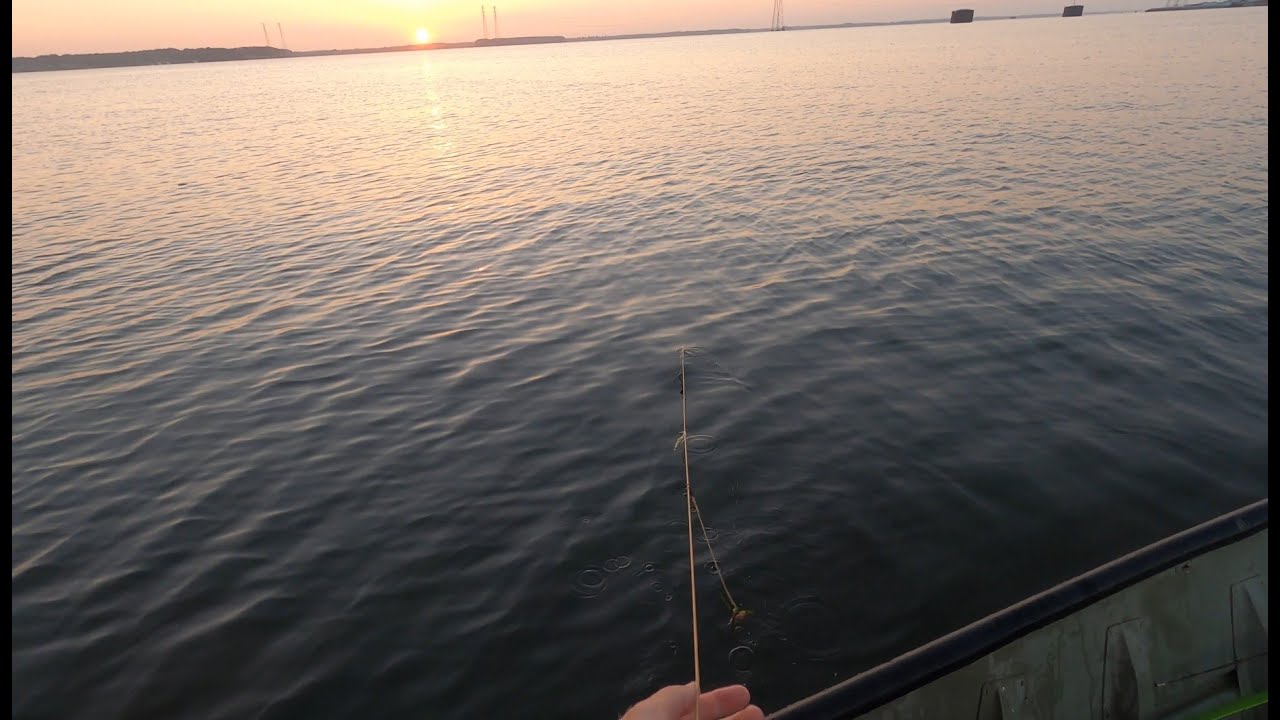 NONSTOP Action On A Trotline **Handlining Catfish**