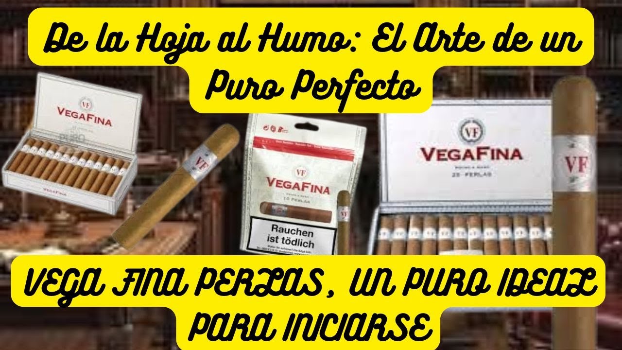 VEGA FINA PERLAS, IDEAL PARA INICIARSE