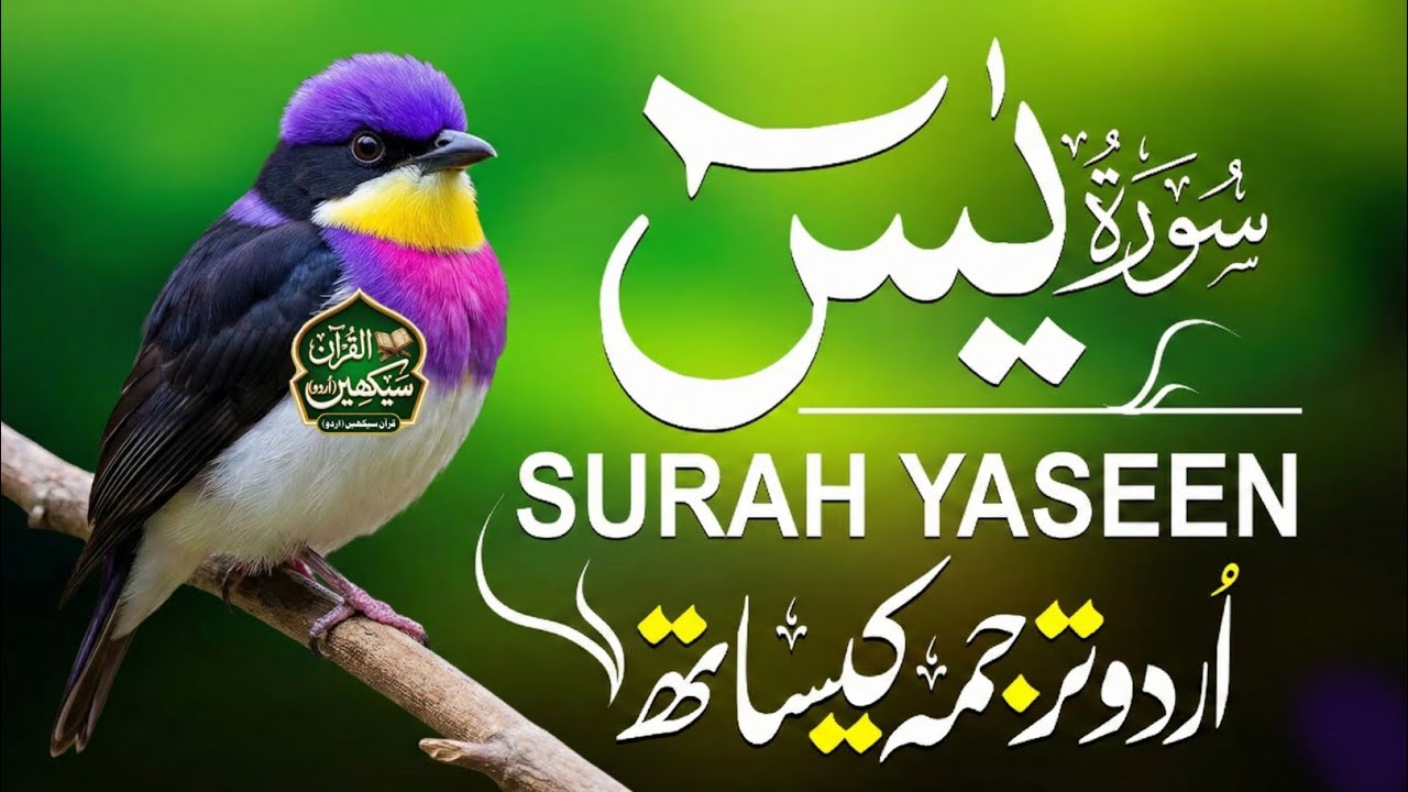 Surah Yaseen with Urdu Translation | Peaceful & Heart Touching Recitation |#surahyaseen