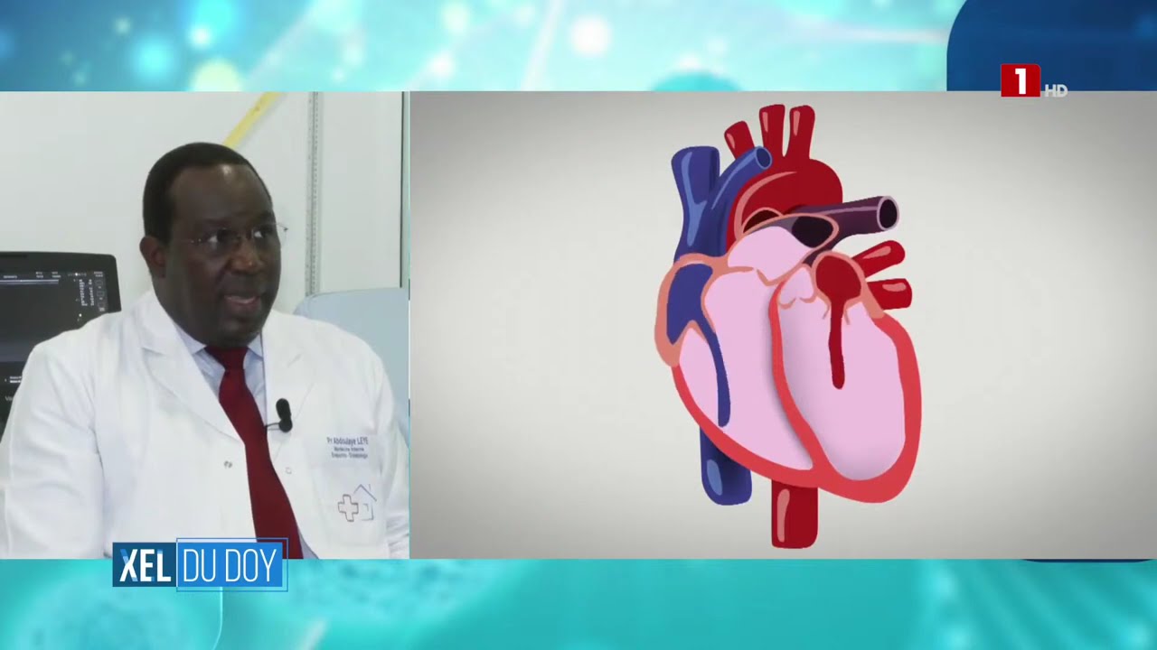 XEL DU DOY – MARDI 27 AOÛT 2024 - THÉME - ENDOCRINOLOGIE